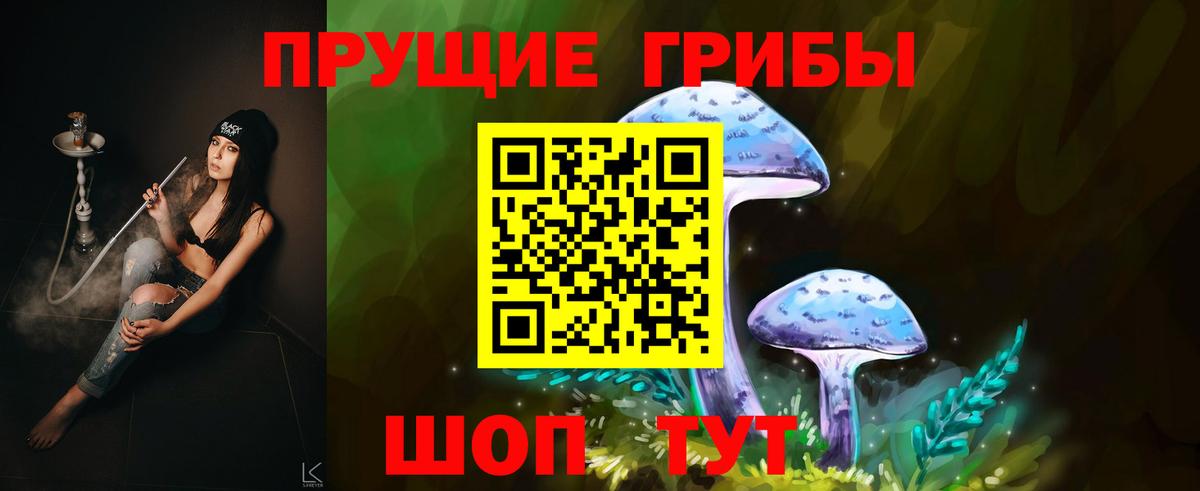 Псилоцибиновые грибы GOLDEN TEACHER  Вход с VPN  Кострома 