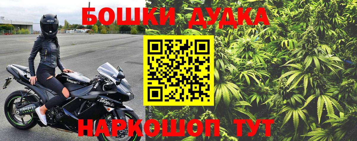Конопля Кострома